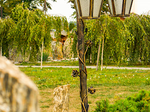 Gnejs i bonsai - zdjęcie od Skalite Kamień