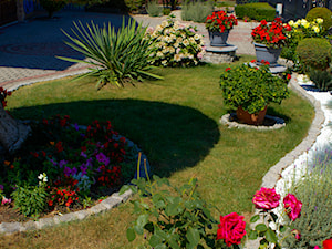 Kolorowy ogród na białym kamieniu dekoracyjnym - Ogród - zdjęcie od Skalite Kamień
