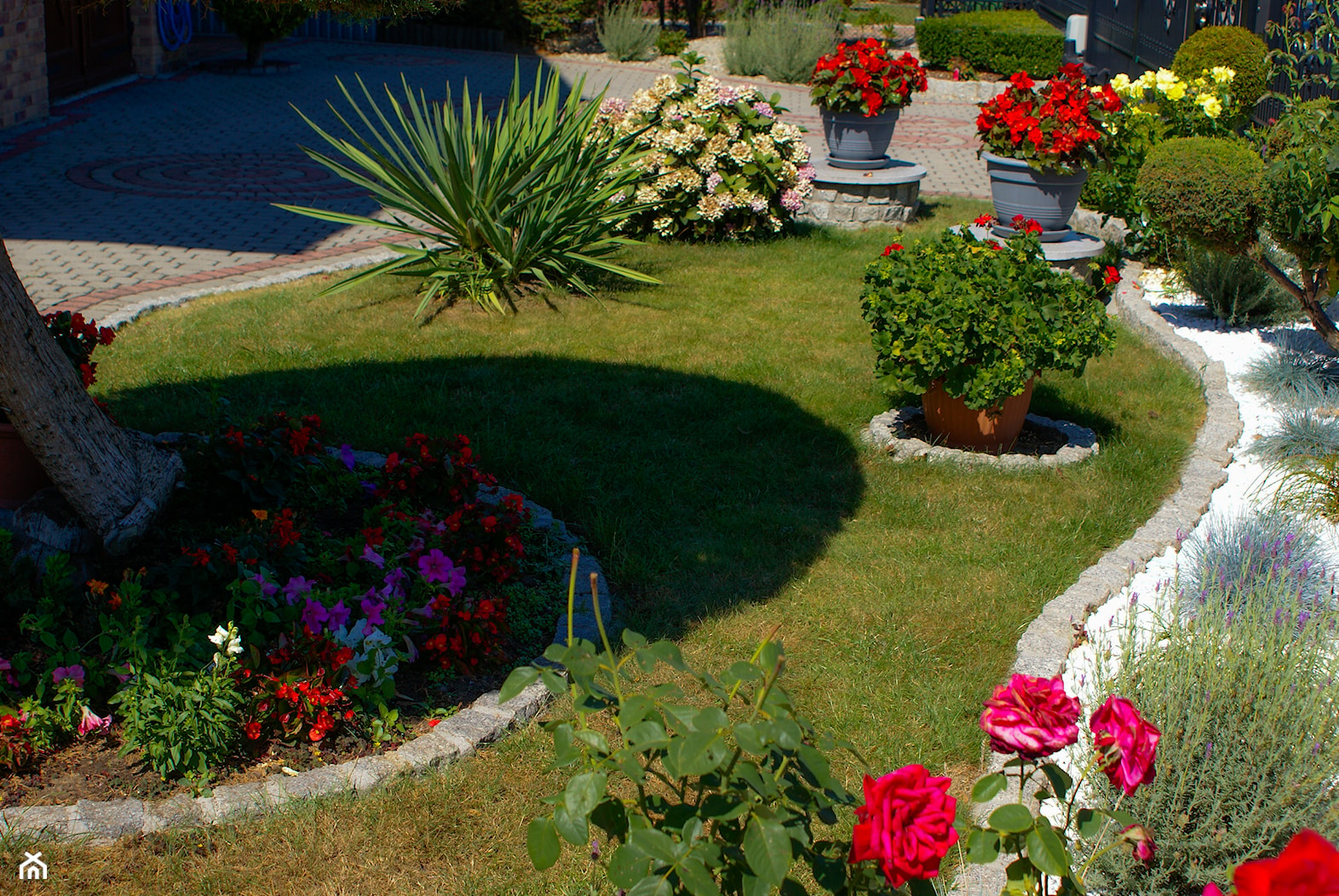 Kolorowy ogród na białym kamieniu dekoracyjnym - Ogród - zdjęcie od Skalite Kamień - Homebook
