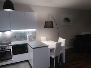 Kuchnia na wymiar lakierowany biały mat - zdjęcie od kompleksowe-remonty