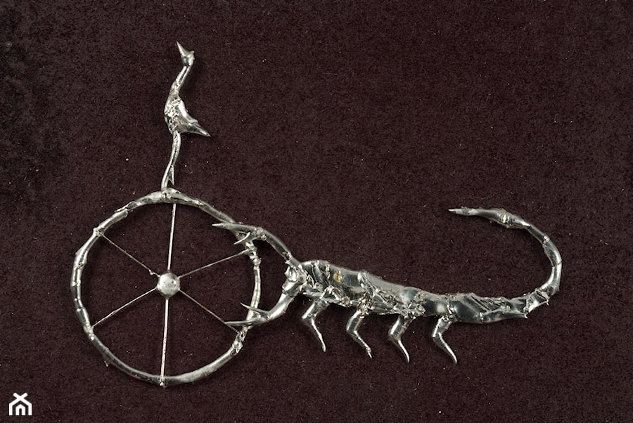 Znaki Zodiaku - Skorpion - zdjęcie od Galeria Inna