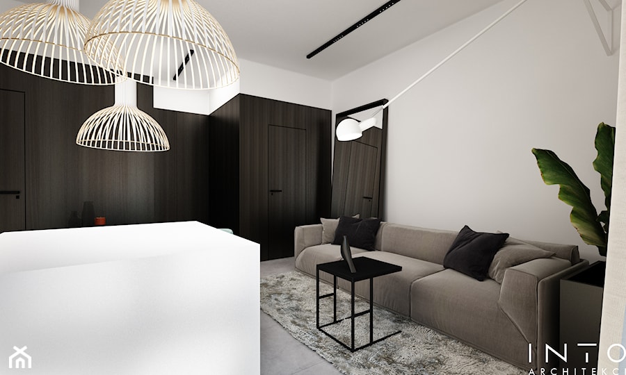 Reszów | mieszkanie | 49m2 - Salon, styl nowoczesny - zdjęcie od INTO architekci