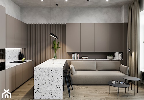 Mieszkanie 45mkw Warszawa - Mały szary salon z kuchnią z jadalnią, styl minimalistyczny - zdjęcie od mallumo
