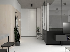 Apartament w Warszawie - Średni szary hol / przedpokój, styl minimalistyczny - zdjęcie od mallumo