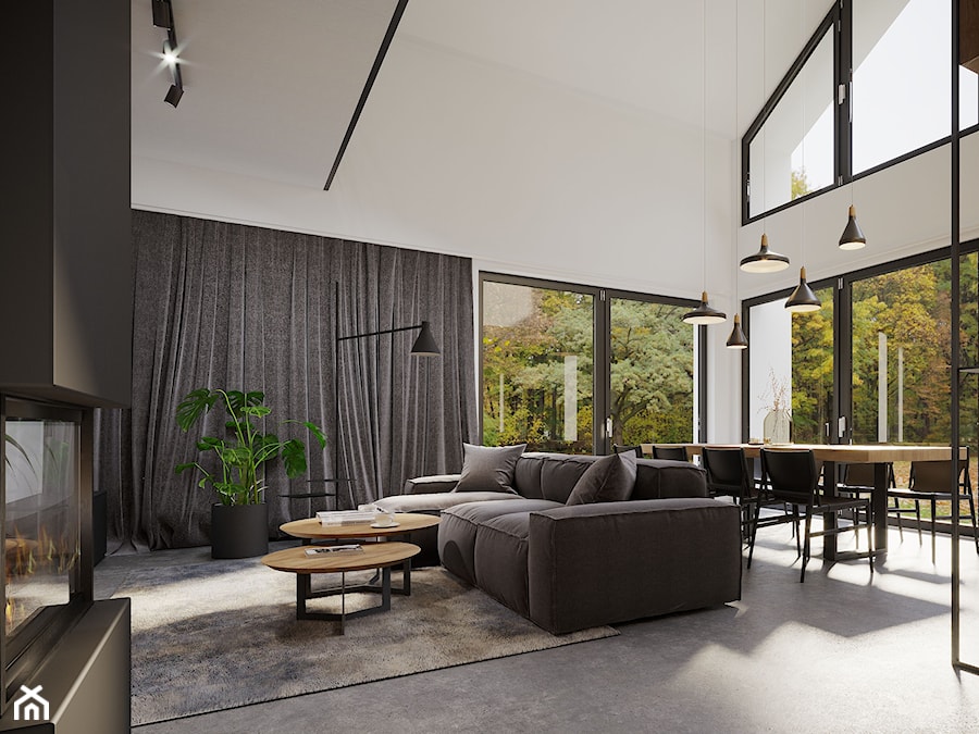 Dom pod Warszawą - Salon, styl minimalistyczny - zdjęcie od mallumo