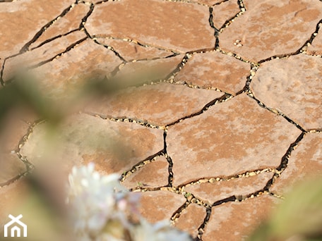 Aranżacje wnętrz - : - Polbruk. Przeglądaj, dodawaj i zapisuj najlepsze zdjęcia, pomysły i inspiracje designerskie. W bazie mamy już prawie milion fotografii!