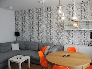 Mieszkanie w Poznaniu II - Salon, styl minimalistyczny - zdjęcie od Home Plan projektowanie wnętrz Joanna Mielczarek