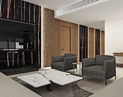 Salon w luksusowym apartamencie zlokalizowanym w apartamentowcu w Warszawie - zdjęcie od Alina Badora Pracownia Architektury Wnętrz - Homebook