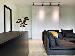 Projekt mieszkania na wynajem - zdjęcia realizacji - Hol / przedpokój, styl nowoczesny - zdjęcie od DekoDeko