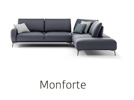 Aranżacje wnętrz - Salon: SOFA MONFORTE - Inter-comodo. Przeglądaj, dodawaj i zapisuj najlepsze zdjęcia, pomysły i inspiracje designerskie. W bazie mamy już prawie milion fotografii!