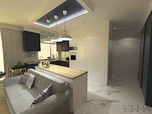 Projekt wnętrza mieszkania w Krakowie 42 m2 - Mały szary salon z kuchnią - zdjęcie od EWMAarchitekci
