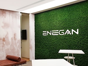 Enegan - zielona identyfikacja marki - zdjęcie od Moss Trend