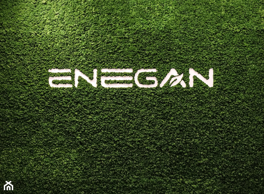 Enegan - zielona identyfikacja marki - zdjęcie od Moss Trend