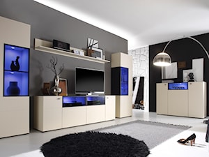 Salon, styl nowoczesny - zdjęcie od MEBEL4U.PL