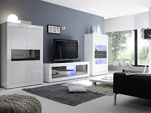 Salon, styl minimalistyczny - zdjęcie od MEBEL4U.PL