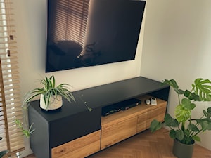 Szafka RTV pod telewizor NORD - zdjęcie od RaWood Premium Furniture