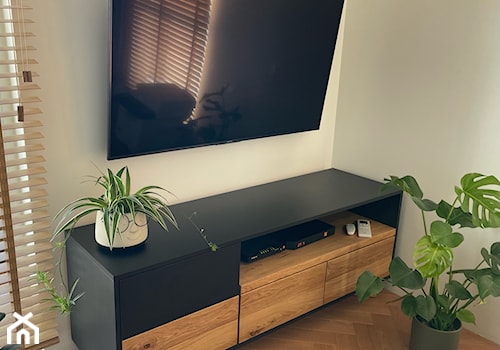 Szafka RTV pod telewizor NORD - zdjęcie od RaWood Premium Furniture