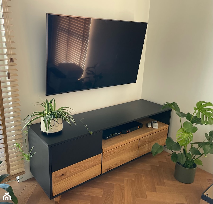 Szafka RTV pod telewizor NORD - zdjęcie od RaWood Premium Furniture