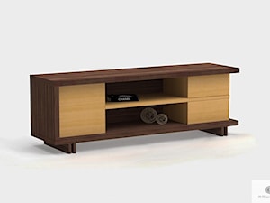 Szafka RTV z drewna i płyty do salonu NESTON - zdjęcie od RaWood Premium Furniture