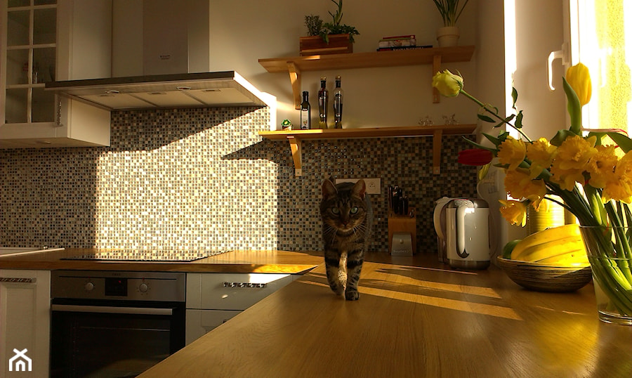 at home - Kuchnia - zdjęcie od Projektowanie mebli