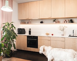 _06 - Kuchnia, styl rustykalny - zdjęcie od Pracownia Projektowa Natalia Kedzior - Homebook