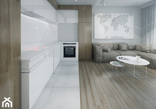 Minmal Krk - Średnia otwarta z salonem z kamiennym blatem szara z zabudowaną lodówką z podblatowym zlewozmywakiem kuchnia jednorzędowa, styl minimalistyczny - zdjęcie od SWSTUDIO