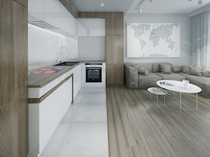 Minmal Krk - Średnia otwarta z salonem z zabudowaną lodówką kuchnia w kształcie litery l, styl minimalistyczny - zdjęcie od SWSTUDIO