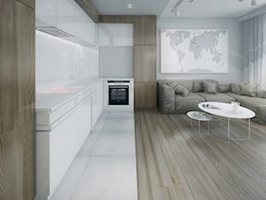 Minmal Krk - Mała z salonem biała szara z zabudowaną lodówką z podblatowym zlewozmywakiem kuchnia w kształcie litery l, styl minimalistyczny - zdjęcie od SWSTUDIO