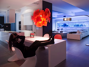 PROJEKT 4 - Salon, styl nowoczesny - zdjęcie od muc&scott interiors
