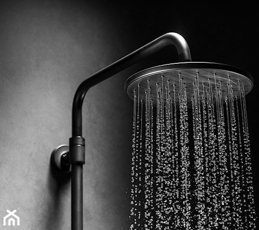 Deszczownia – dlaczego jest niezbędna i pasuje do każdej łazienki?