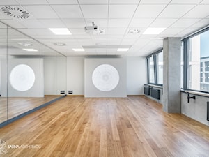 Sala baletowa w biurze w stylu nowojorskim - zdjęcie od SARNA ARCHITEKCI / Architektura Wnętrza dla wymagających / Interior Design