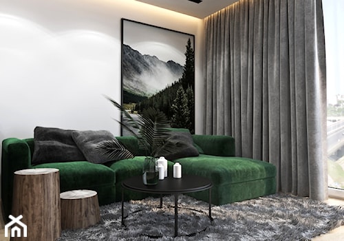 Mieszkanie z zielonym akcentem - Mały szary salon, styl nowoczesny - zdjęcie od Ambience. Interior design
