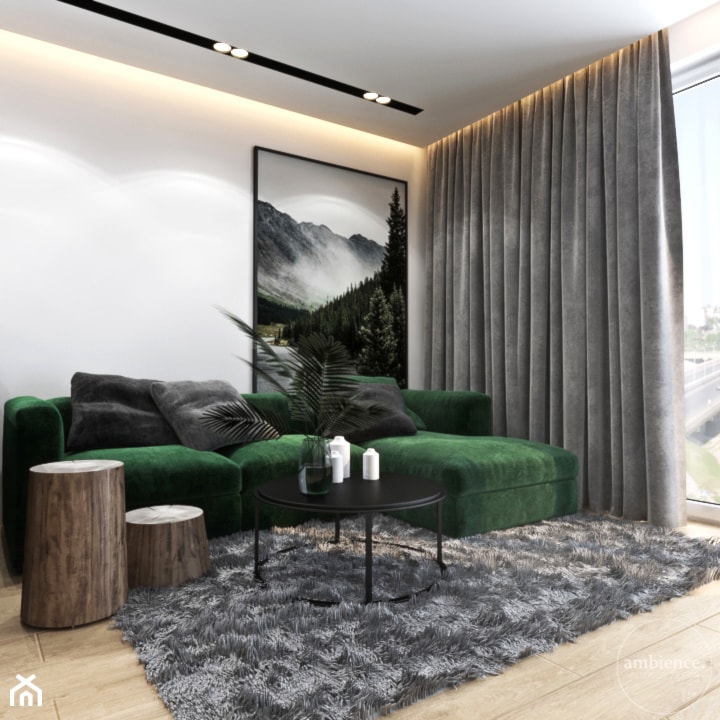 Mieszkanie z zielonym akcentem - Mały szary salon, styl nowoczesny - zdjęcie od Ambience. Interior design