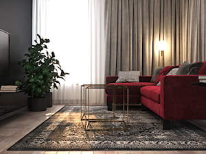 Odważne mieszkanie z czerwienią - Mały czarny salon, styl nowoczesny - zdjęcie od Ambience. Interior design