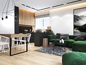 Mieszkanie z zielonym akcentem - Średni biały salon z kuchnią z jadalnią, styl nowoczesny - zdjęcie od Ambience. Interior design
