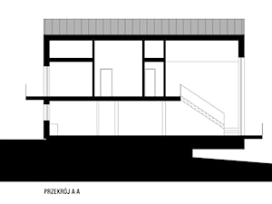 Dom nad morzem - Domy - zdjęcie od plan architekci