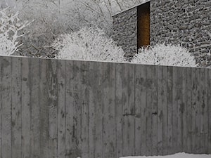 Dom drewno-centryczny - Domy, styl nowoczesny - zdjęcie od NSKY architekci