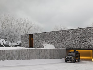 Dom drewno-centryczny - Domy, styl nowoczesny - zdjęcie od NSKY architekci
