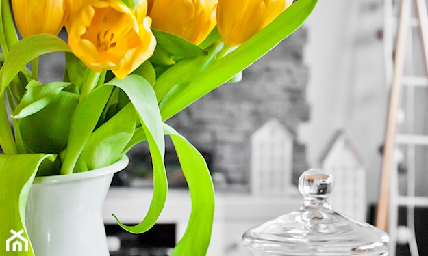 jak przedłużyć trwałość tulipanów w wazonie