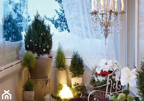 Zimowa weranda - Średni z meblami ogrodowymi z donicami na kwiaty taras z tyłu domu - zdjęcie od KarinaPe