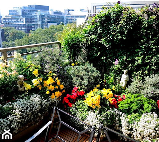 Jak urządzić ogród na balkonie w bloku?  Przegląd inspiracji