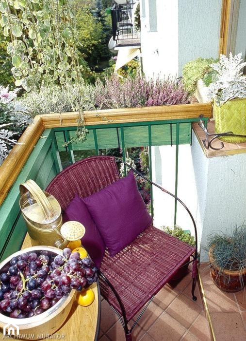Ogród na balkonie - Taras - zdjęcie od KarinaPe