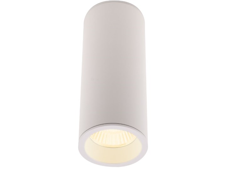 Long C0153 lampa sufitowa/plafon okrągły biały Oprawa led Oprawa dekoracyjna Okrągłe Oprawa stropowa Kategoria Oprawy oświetleniowe