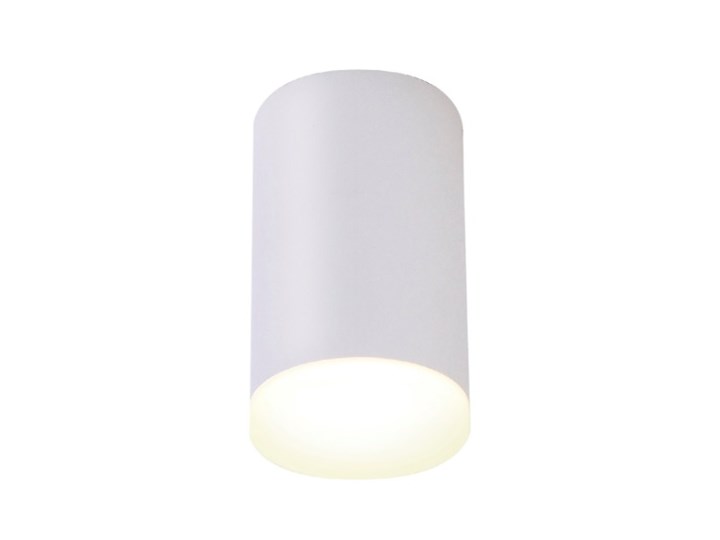 SPHERE C0094 lampa sufitowa biała Oprawa stropowa Okrągłe Kolor Biały Oprawa led Kategoria Oprawy oświetleniowe