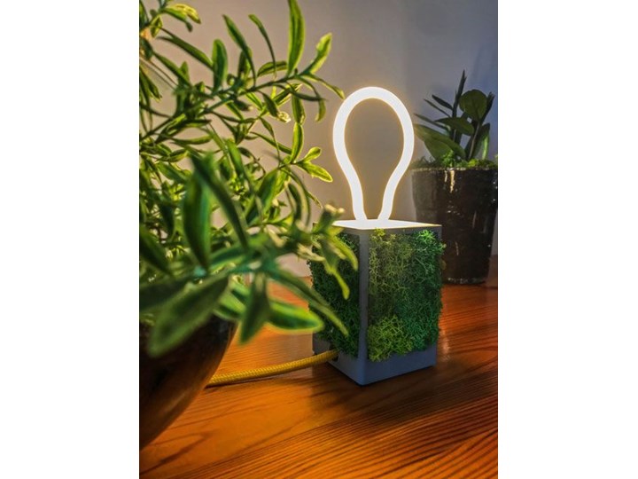 Lampka stołowa LED z żywym mchem - EX381-Vifo Lampa dekoracyjna Wysokość 10 cm Kategoria Lampy stołowe