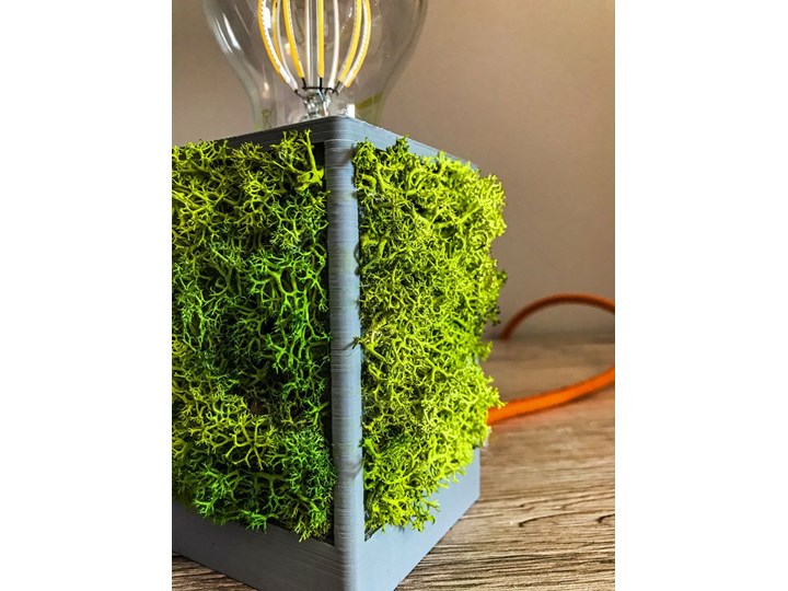 Lampka stołowa LED z żywym mchem - EX381-Vifo Kolor Zielony Wysokość 10 cm Lampa dekoracyjna Kategoria Lampy stołowe