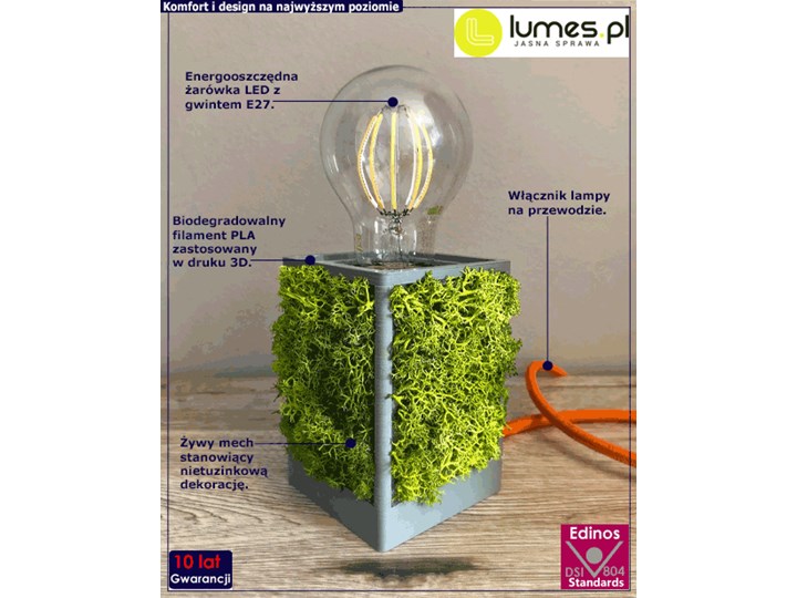 Lampka stołowa LED z żywym mchem - EX381-Vifo Lampa dekoracyjna Wysokość 10 cm Kolor Zielony