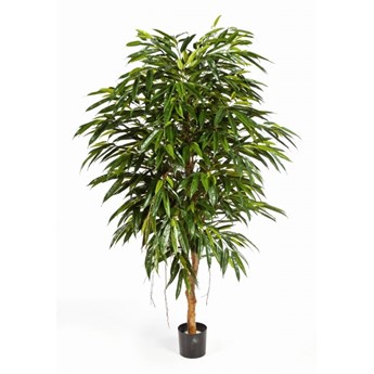 Sztuczna Longifolia Royal - 180