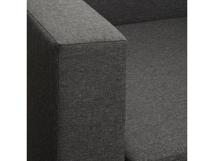 BYGGET Leżanka/sofa rozkładana Szerokość 149 cm Głębokość 91 cm Pomieszczenie Salon Stała konstrukcja Funkcje Z pojemnikiem na pościel