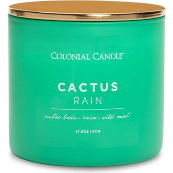 Colonial Candle Pop Of Color sojowa świeca zapachowa w szkle 3 knoty 14.5 oz 411 g - Cactus Rain